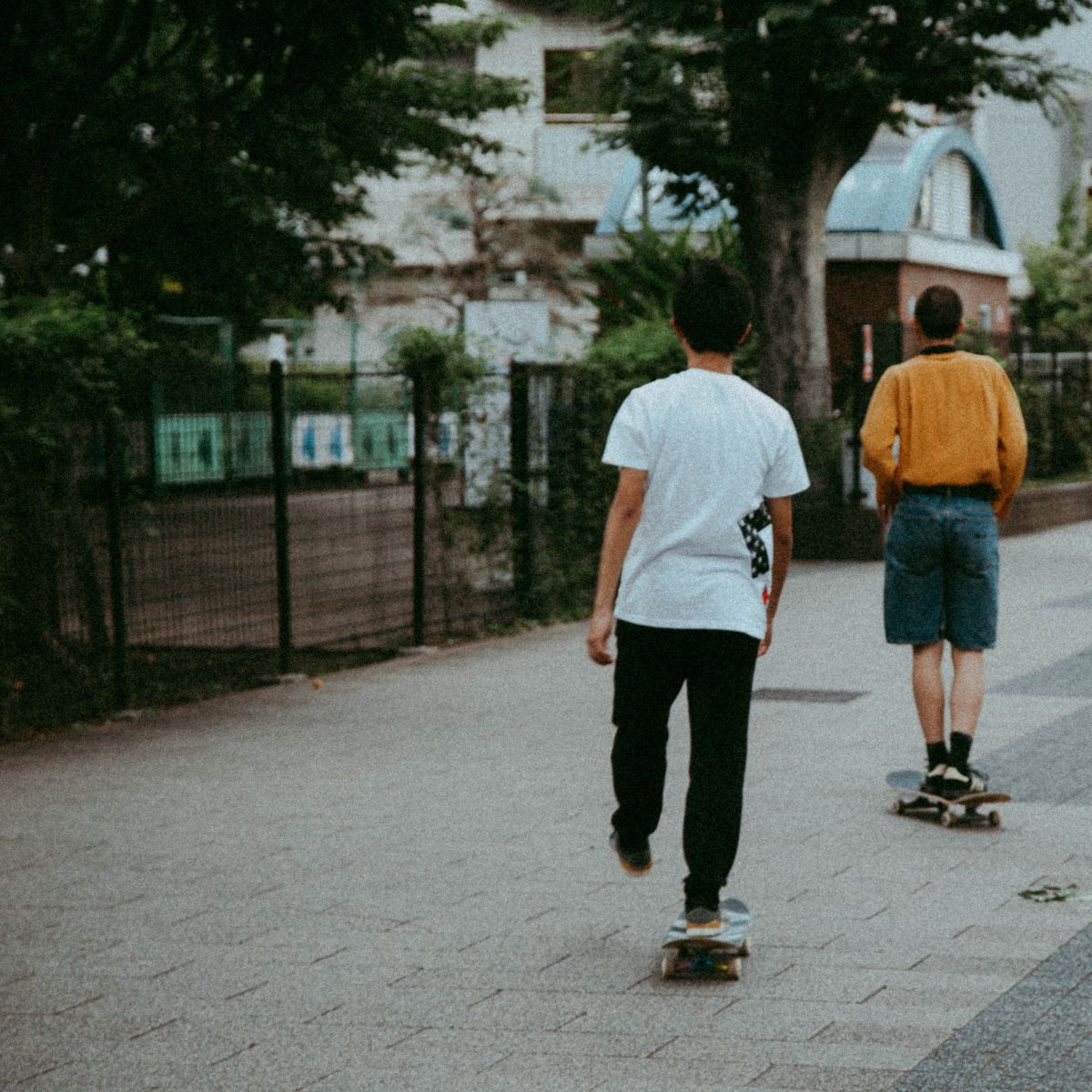 Skateboarder with fences in shot.