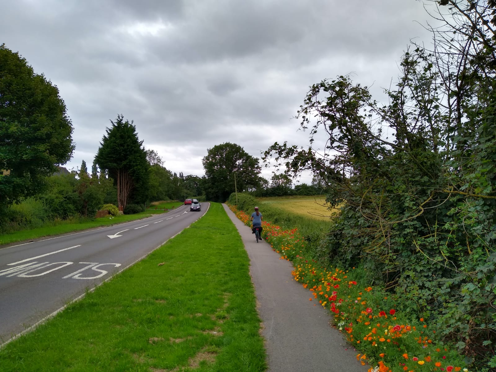 Cyclist on a cycle path