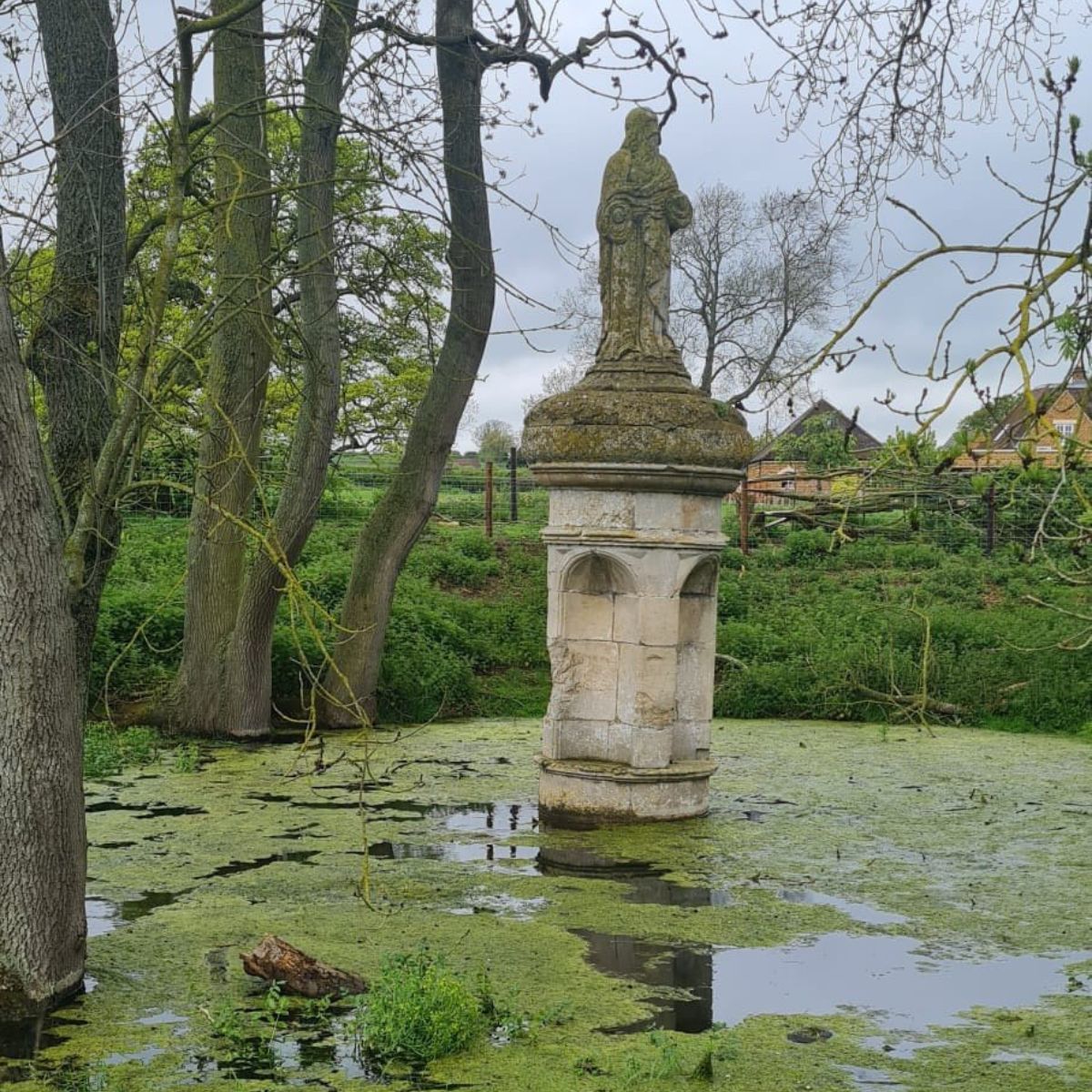 Walk this May - Stone Moses.