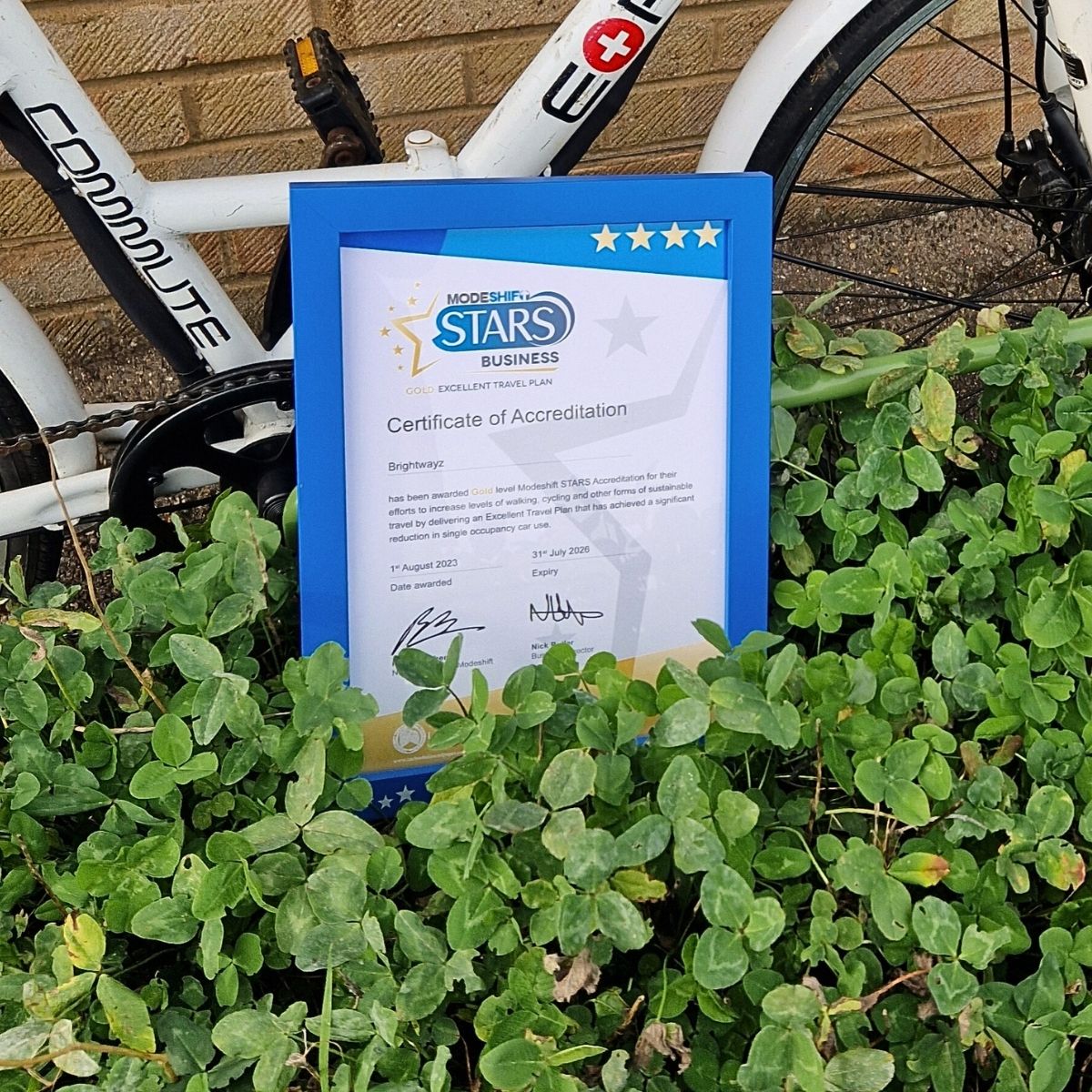 Brightwayz Gold Certificate in Planter