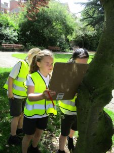 Kids in hivises doing a task.