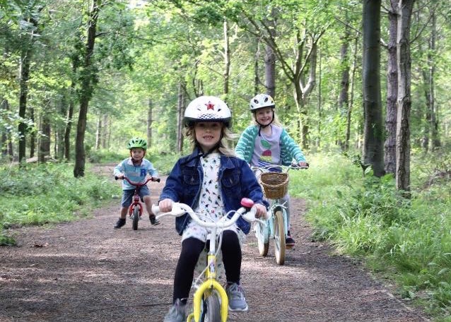 Children cycling in woods
